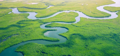 Revolutionerende landbrugsvanding: Rollen af ​​PVC-rør og fittings